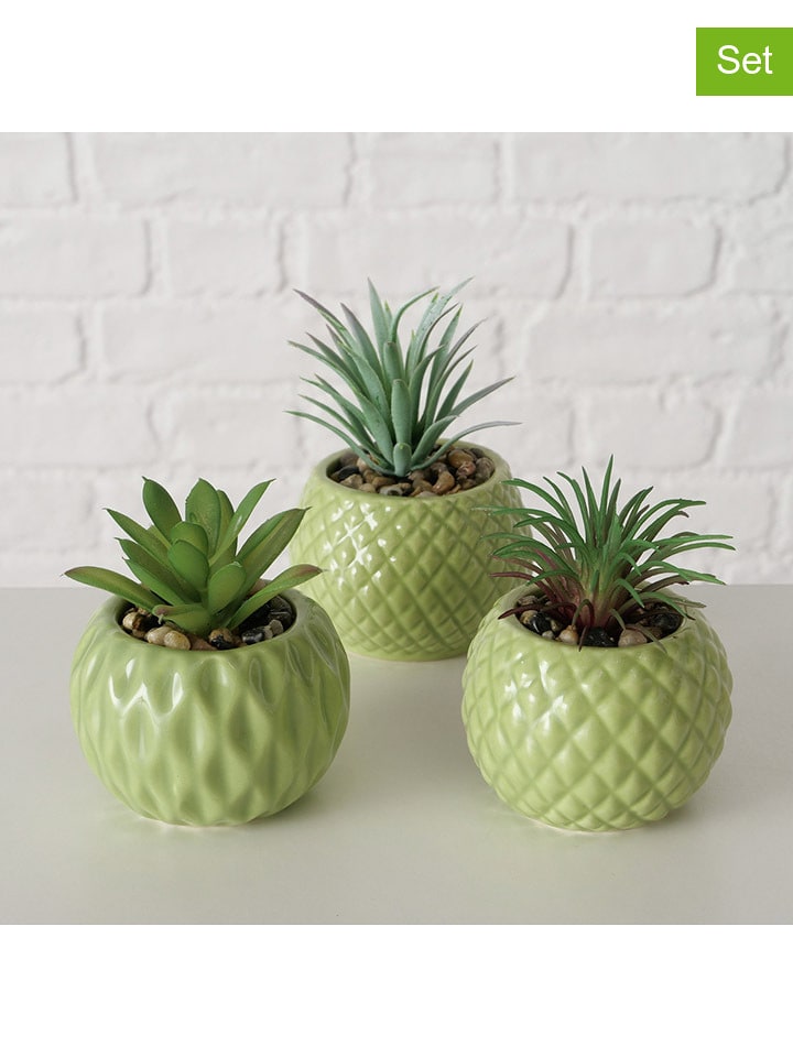 Boltze Sztuczne rośliny doniczkowe (3 szt.) w kolorze zielonym - wys. 10,5 x Ø 7,5 cm rozmiar: onesize