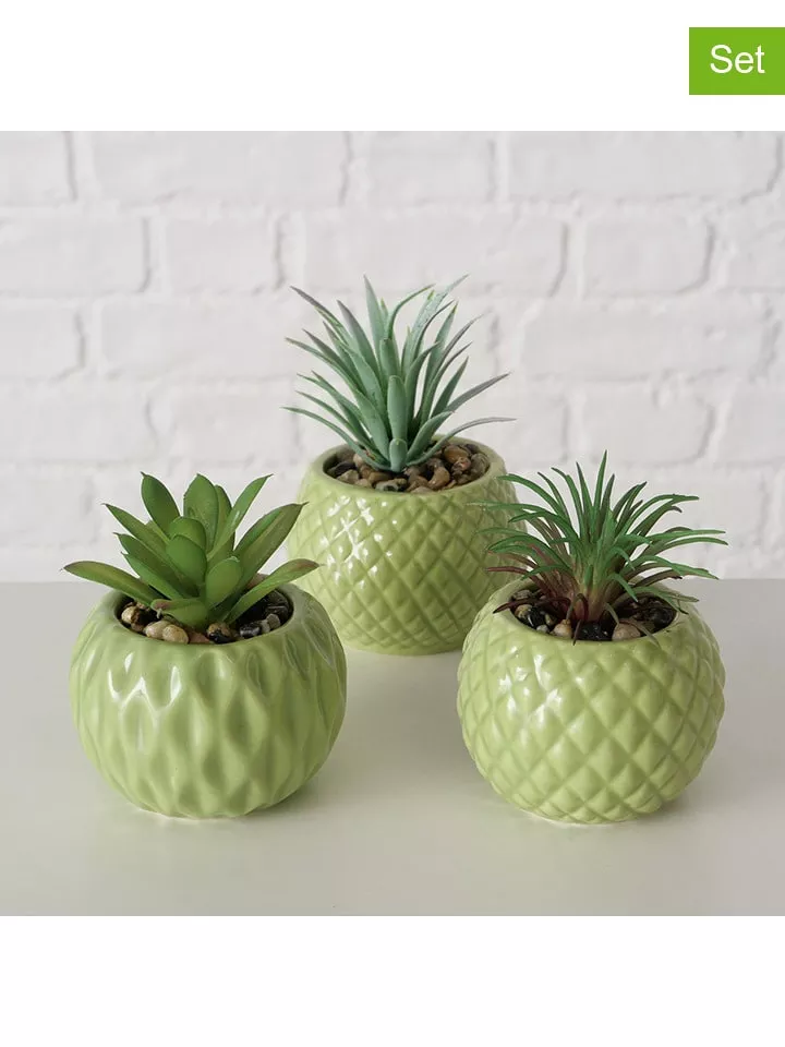 Boltze Sztuczne rośliny doniczkowe (3 szt.) w kolorze zielonym - wys. 10,5 x Ø 7,5 cm rozmiar: onesize