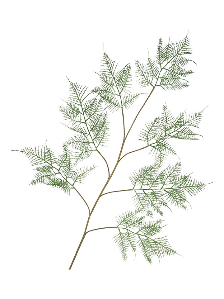 daan kromhout Dekoracyjna gałązka w kolorze ciemnozielono-brązowym - wys. 138 cm rozmiar: onesize