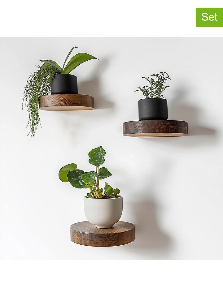 Scandinavia Concept Regały ścienne (3 szt.) w kolorze jasnobrązowym - Ø 12 cm rozmiar: onesize