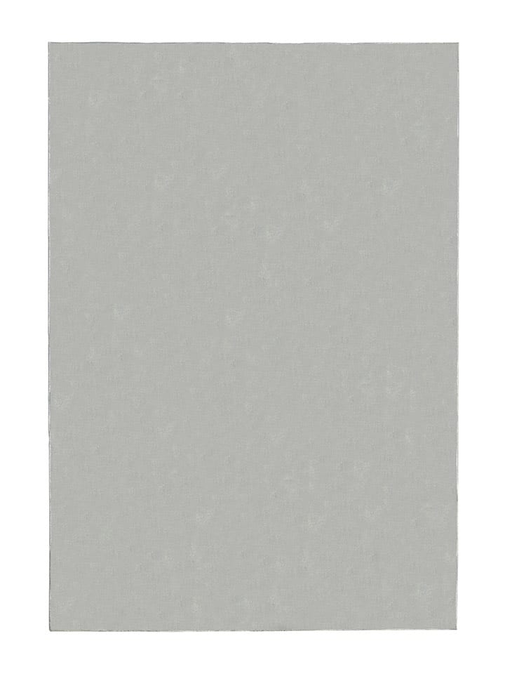 Flair Rugs Dywan w kolorze jasnoszarym rozmiar: 200x290 cm