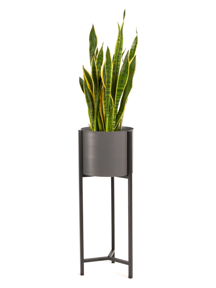 Lifa Living Stojak "Delphine" w kolorze szarym na rośliny - wys. 70 cm rozmiar: onesize