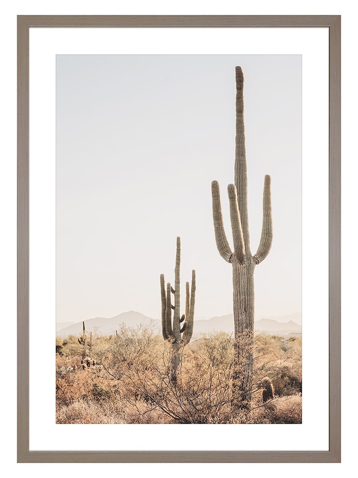 Ars Longa Druk artystyczny "Cactus in Arizona" w ramce - 70 x 50 cm rozmiar: onesize