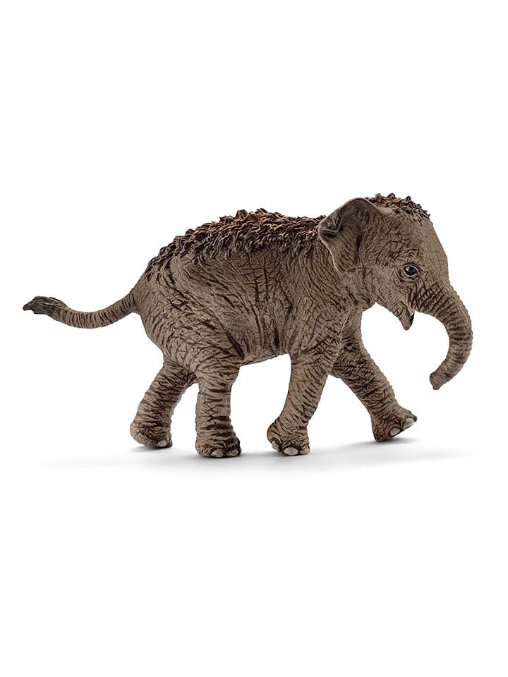 Schleich Figurka "Asian elephant calf" do zabawy - 3+ rozmiar: onesize