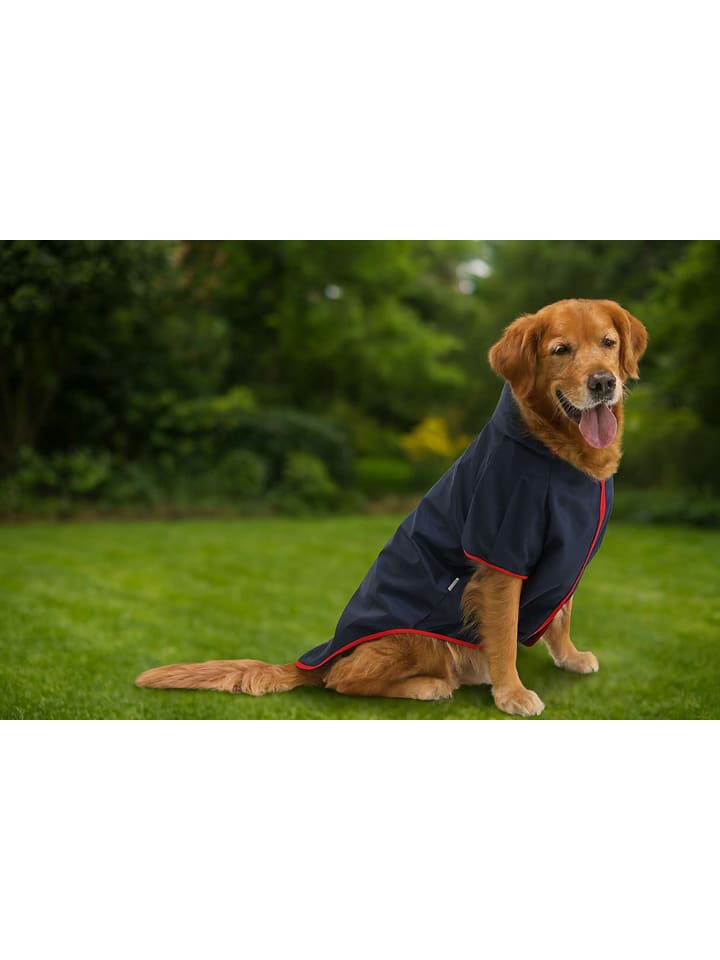 Paws&Whiskers Bluza w kolorze granatowym dla psa rozmiar: 5XL