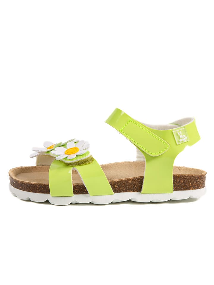 billowy Sandały "Rosso" w kolorze zielonym rozmiar: 32