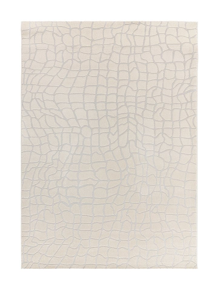 Atticgo Dywan "Baresa" w kolorze srebrno-kremowym rozmiar: 80x150 cm