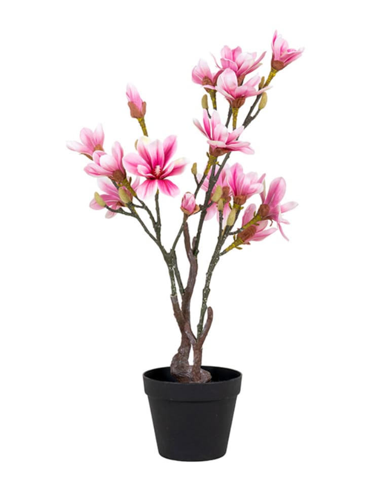 House Nordic Sztuczna roślina "Magnolia Tree" w kolorze różowym - wys. 75 cm rozmiar: onesize