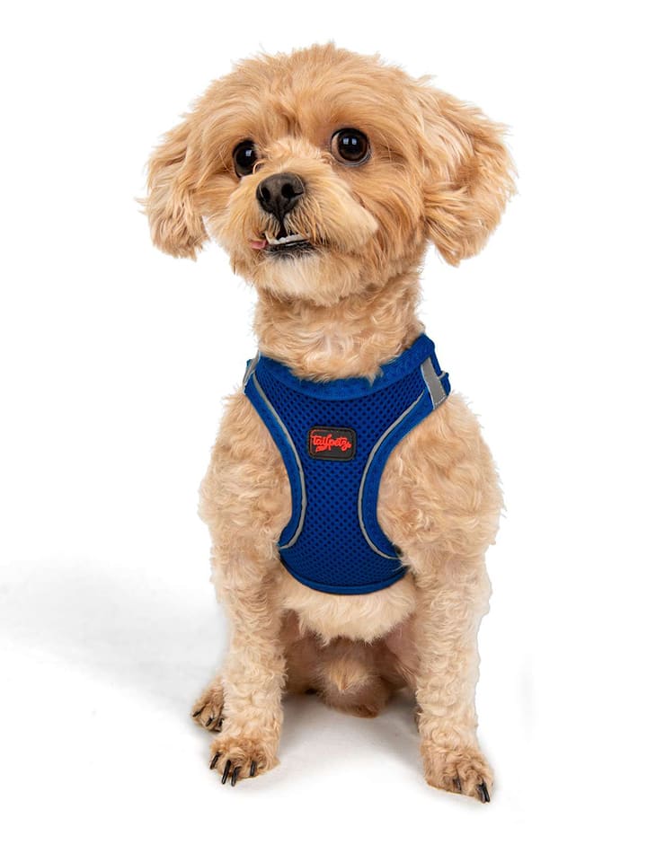 Paws&Whiskers Szelki w kolorze niebieskim dla psa rozmiar: XS