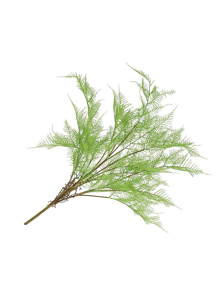 daan kromhout Dekoracyjna gałązka "Fern Asparagus" w kolorze zielono-brązowym - wys. 77 cm rozmiar: onesize