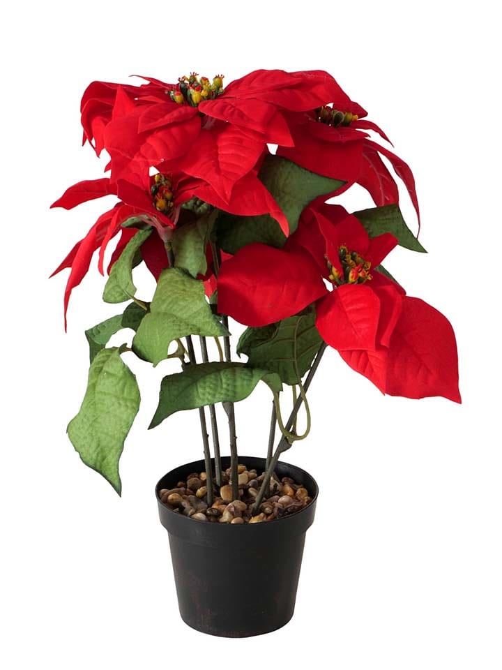 Boltze Sztuczny kwiat w kolorze czerwonym - wys. 40 x Ø 30 cm rozmiar: onesize