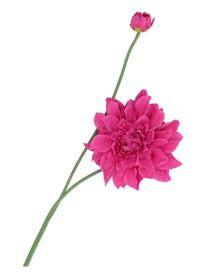daan kromhout Sztuczny kwiat "Dahlia" w kolorze różowo-zielonym - wys. 78 cm rozmiar: onesize