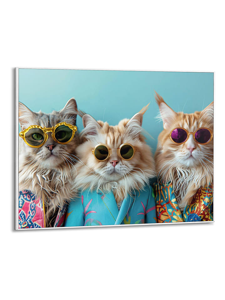 Orangewallz Druk artystyczny "Cat Band" w ramce rozmiar: 40x50 cm