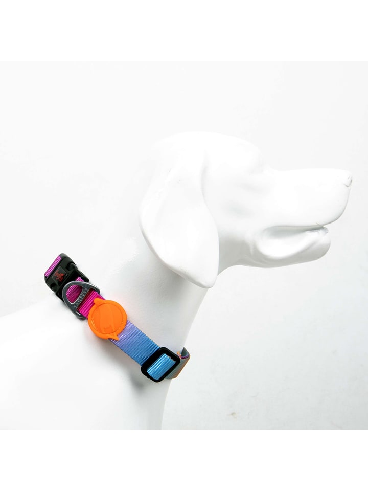 Paws&Whiskers Obroża w kolorze błękitno-pomarańczowym dla psa rozmiar: XS