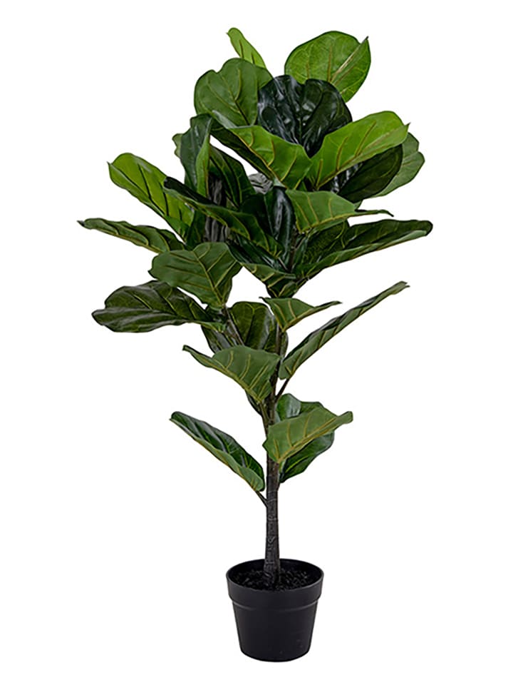 House Nordic Sztuczna roślina w kolorze ciemnozielonym - wys. 100 cm rozmiar: onesize