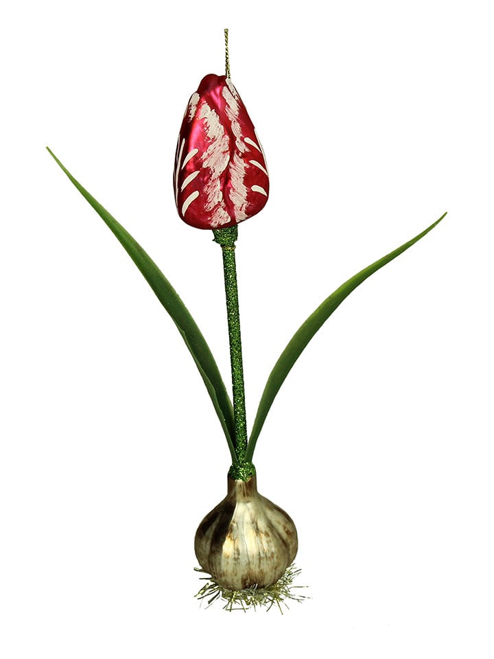 Kersten Ozdoba choinkowa "Tulip" w kolorze czerwono-zielonym - wys. 20,3 cm rozmiar: onesize