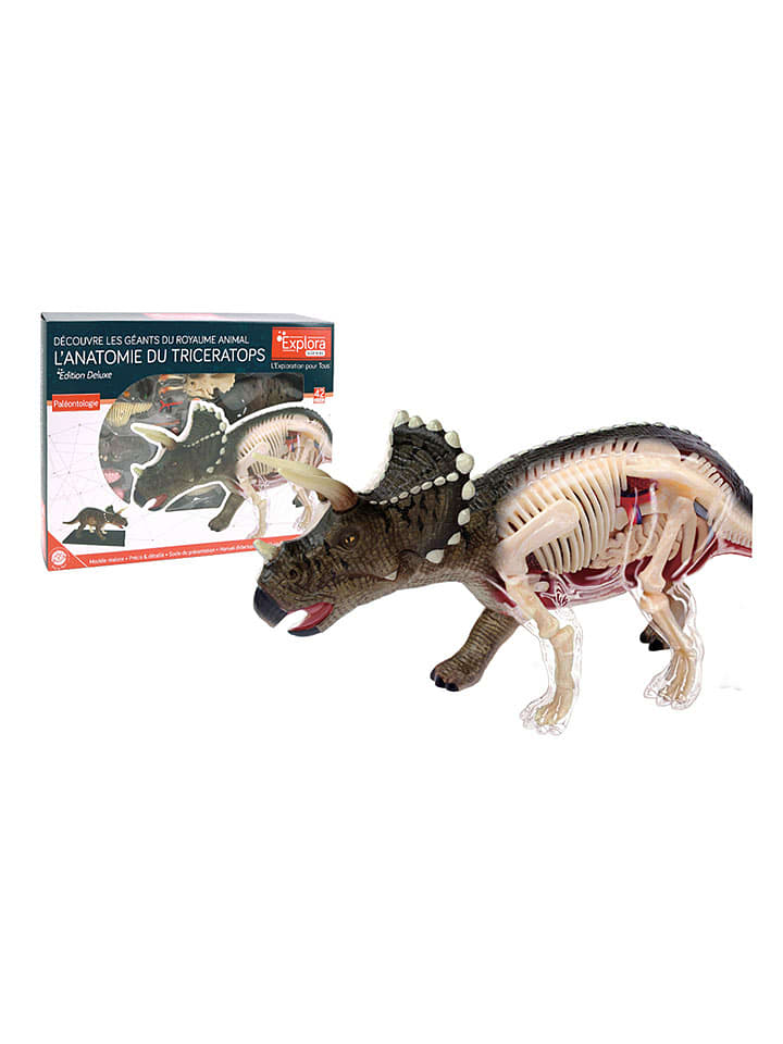 MGM Zestaw konstrukcyjny "Tricératops" - 8+ rozmiar: onesize