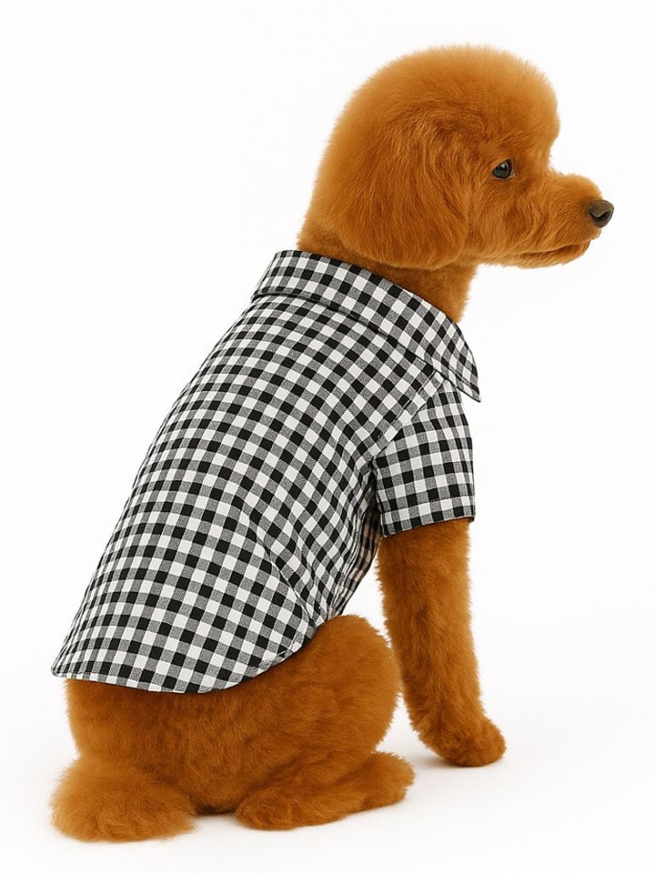 Paws&Whiskers Bluza w kolorze czarno-białym dla psa rozmiar: M