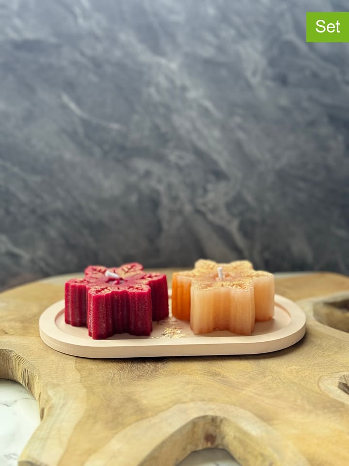 Lucky Bees 3-częściowy zestaw w kolorze czerwono-beżowym rozmiar: onesize