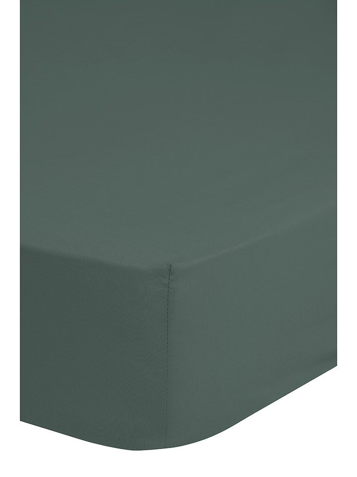 Good Morning Prześcieradło "Good Morning" w kolorze zielonym na gumce rozmiar: 90x200 cm