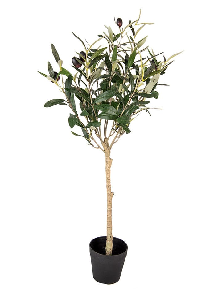 Clayre & Eef Drzewko dekoracyjne w kolorze zielono-beżowym - 15 x 70 x 15 cm rozmiar: onesize