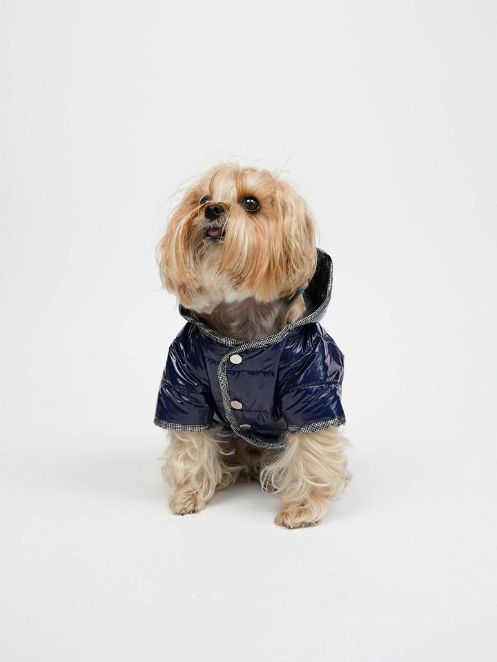 Paws&Whiskers Bluza w kolorze granatowym dla psa rozmiar: L