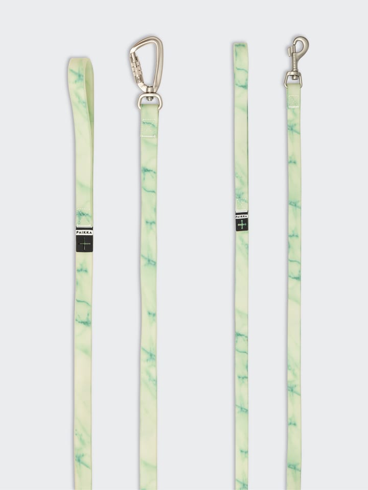 Paikka Smycz "Glow" w kolorze zielonym dla psa rozmiar: 2,5x180 cm