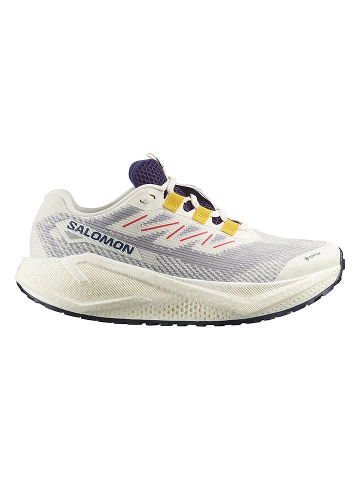 SALOMON Buty "Aero Blaze 3 GRVL GTX" w kolorze beżowo-szarym do biegania rozmiar: 42