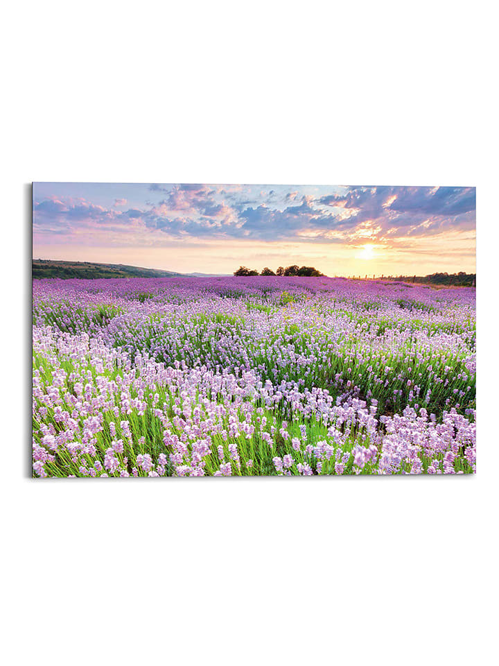 Orangewallz Druk artystyczny "Lavender Slope" rozmiar: 60x90 cm
