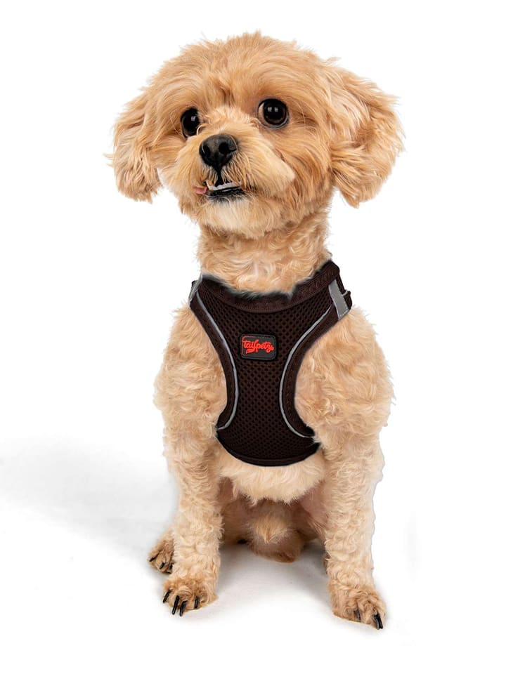 Paws&Whiskers Szelki w kolorze brązowym dla psa rozmiar: M