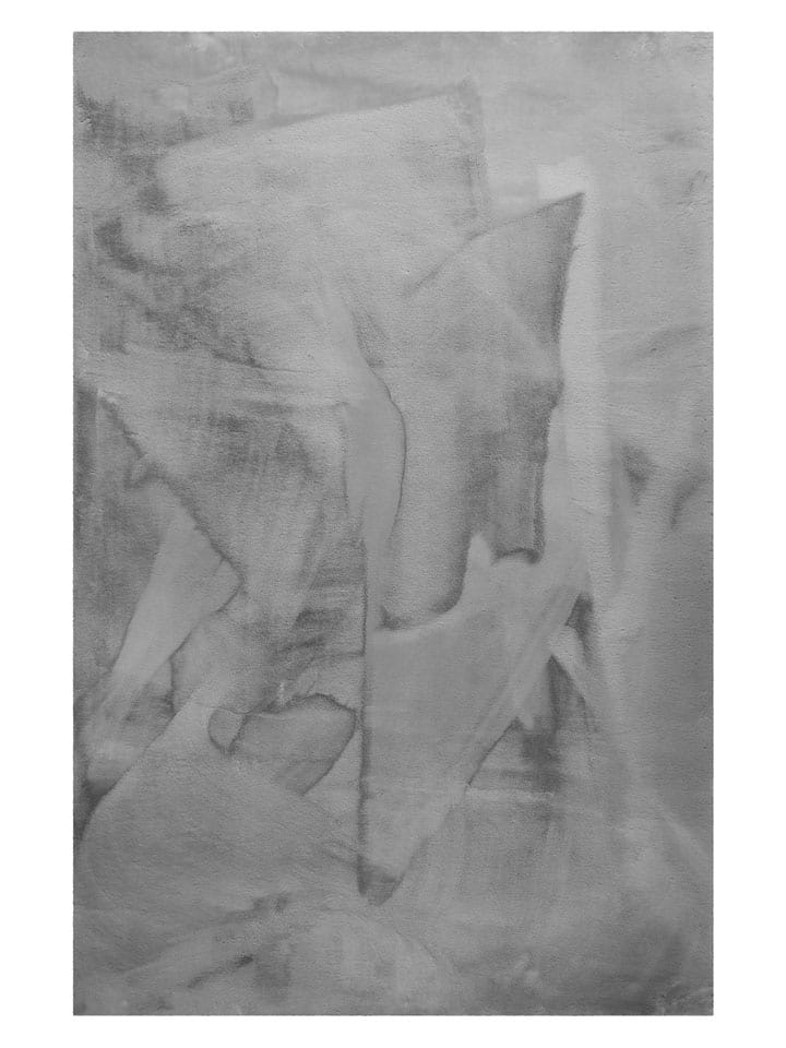 Wecon Home Dywan "Basics Anna" w kolorze szarym rozmiar: 60x90 cm