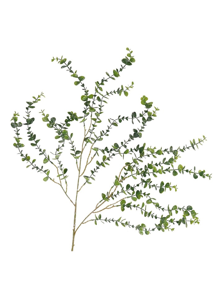 daan kromhout Dekoracyjna gałązka "Eucalyptus" w kolorze zielonym - wys. 89 cm rozmiar: onesize