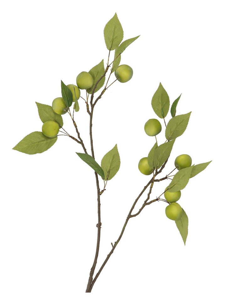 daan kromhout Dekoracyjna gałązka "Apple Plum" w kolorze zielonym - wys. 76 cm rozmiar: onesize