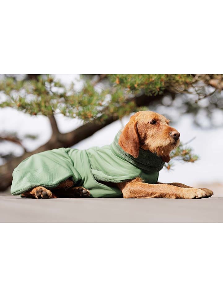 Paikka Płaszcz "2Go" w kolorze zielonym dla psa rozmiar: 35 cm
