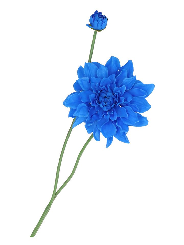 daan kromhout Sztuczny kwiat "Dahlia" w kolorze niebiesko-zielonym - wys. 78 cm rozmiar: onesize