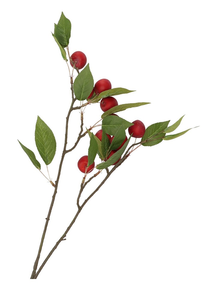 daan kromhout Dekoracyjna gałązka "Apple Plum" w kolorze czerwono-zielonym - wys. 76 cm rozmiar: onesize