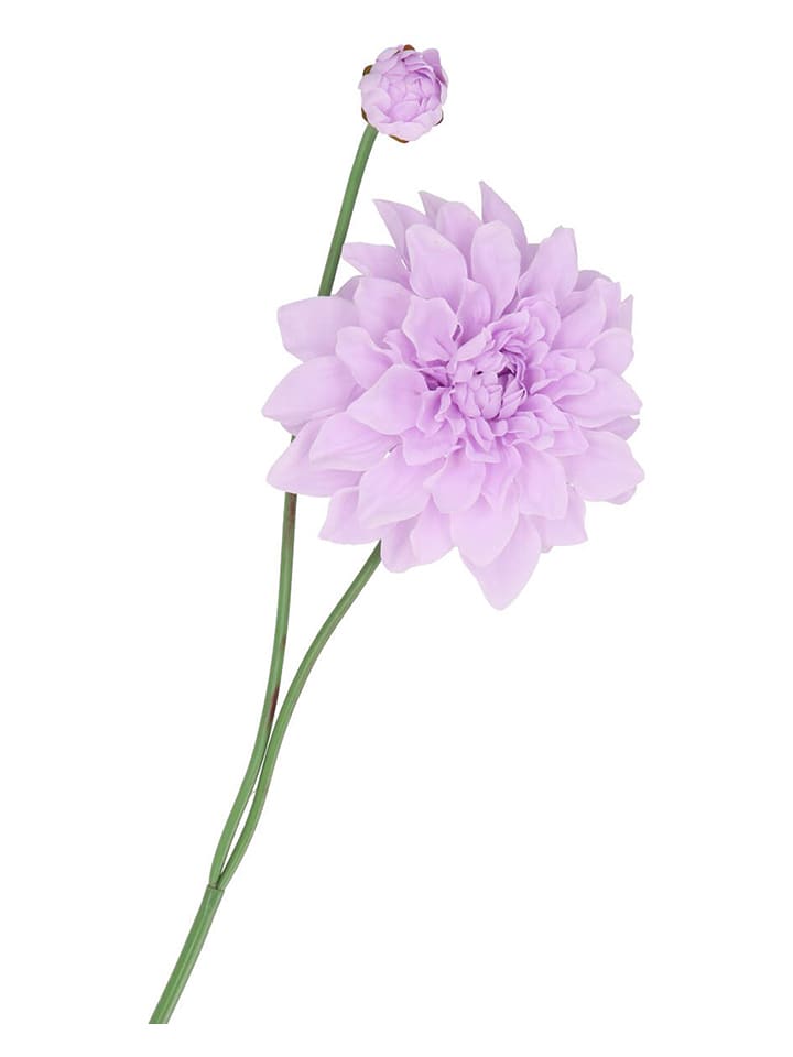 daan kromhout Sztuczny kwiat "Dahlia" w kolorze fioletowo-zielonym - wys. 78 cm rozmiar: onesize