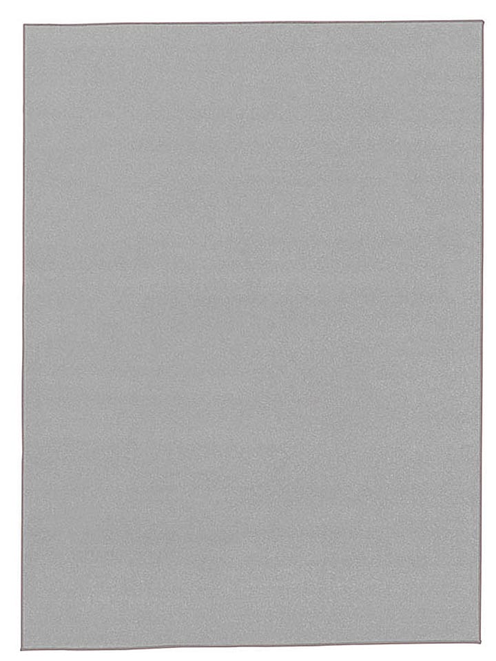 Hanse Home Dywan "Nasty" w kolorze srebrnym rozmiar: 80x200 cm