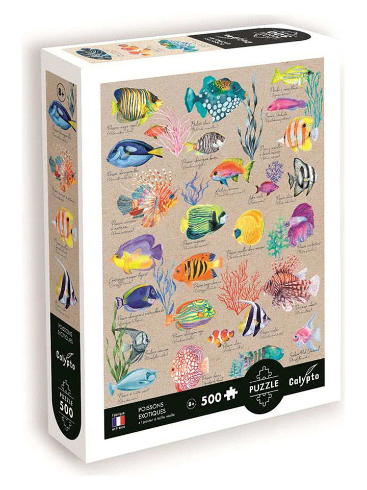 Calypto 500-częściowe puzzle "Exotic fishes" - 8+ rozmiar: onesize