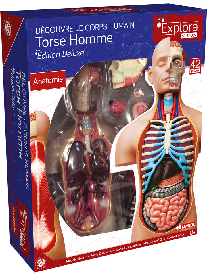 MGM Zestaw naukowy - 8+ rozmiar: onesize