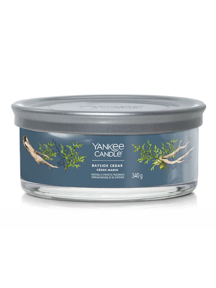 Yankee Candle Świeca zapachowa "Bayside Cedar" - 340 g rozmiar: onesize