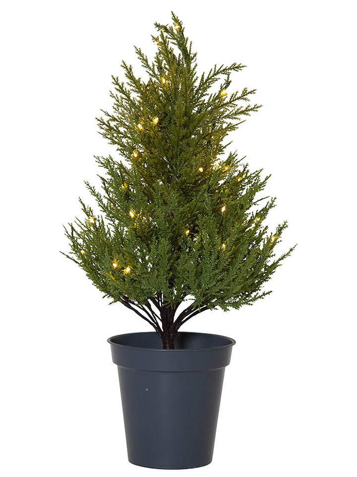 STAR Trading Choinka LED "Thuja" w kolorze zielonym - 55 x 28 cm rozmiar: onesize