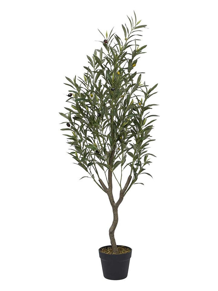 Ethnical Life Sztuczna roślina w kolorze zielonym - wys. 120 x Ø 30 cm rozmiar: onesize