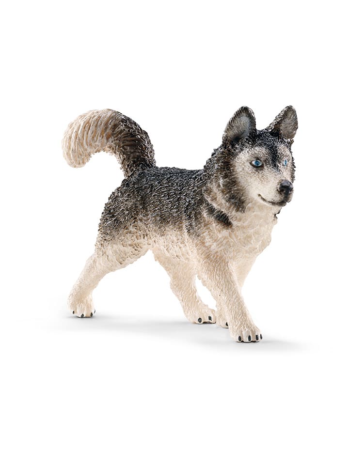 Schleich Figurka "Husky" do zabawy - 3+ rozmiar: onesize