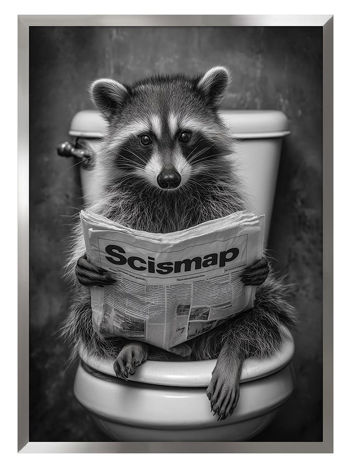 Ars Longa Druk artystyczny "Raccoon in the Toilet" w ramce - 70 x 50 cm rozmiar: onesize