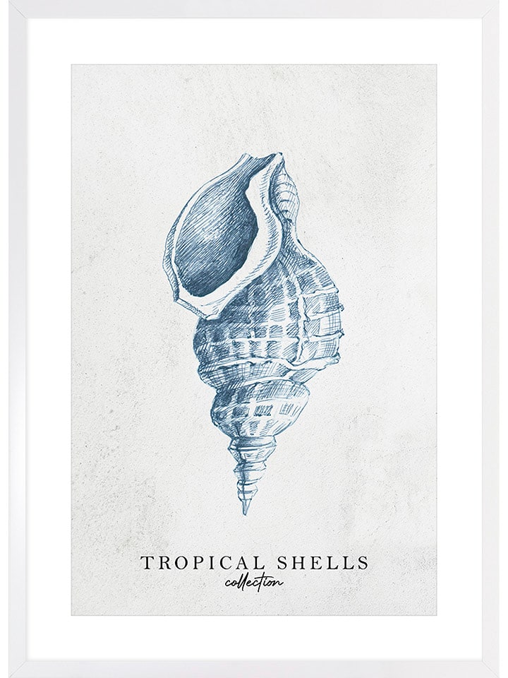 Ars Longa Druk artystyczny "Tropical shell collection no. 1" w ramce rozmiar: 70x100 cm