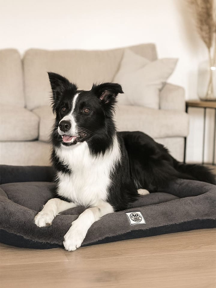 Paws&Whiskers Legowisko "Sally" w kolorze antracytowym dla zwierząt rozmiar: 55x75x8 cm