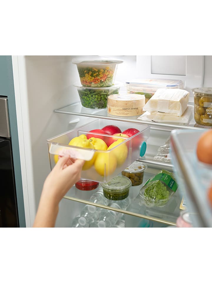 JosephJoseph Organizer do lodówki - 30,8 x 17,4 x 8,5 cm rozmiar: onesize