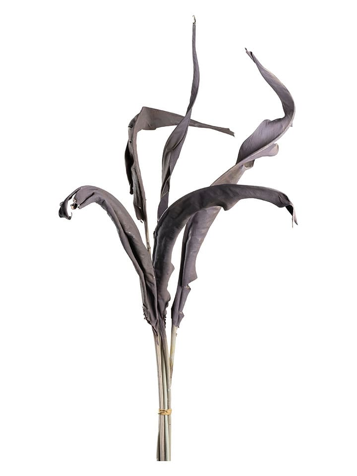 LEONARDO Sztuczny kwiat "Strelizia leaves" w kolorze szarobrązowym - dł. 80 cm rozmiar: onesize