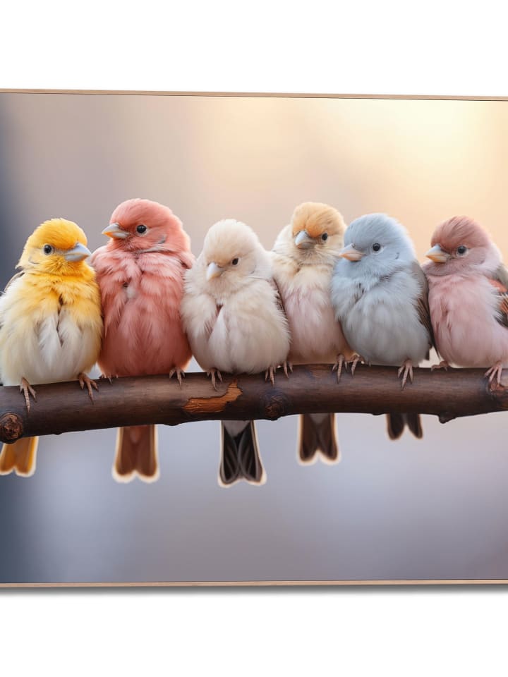 Orangewallz Druk artystyczny "Birds in Pastel" w ramce rozmiar: 50x70 cm